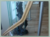 Curved Balcony Oak Handrail